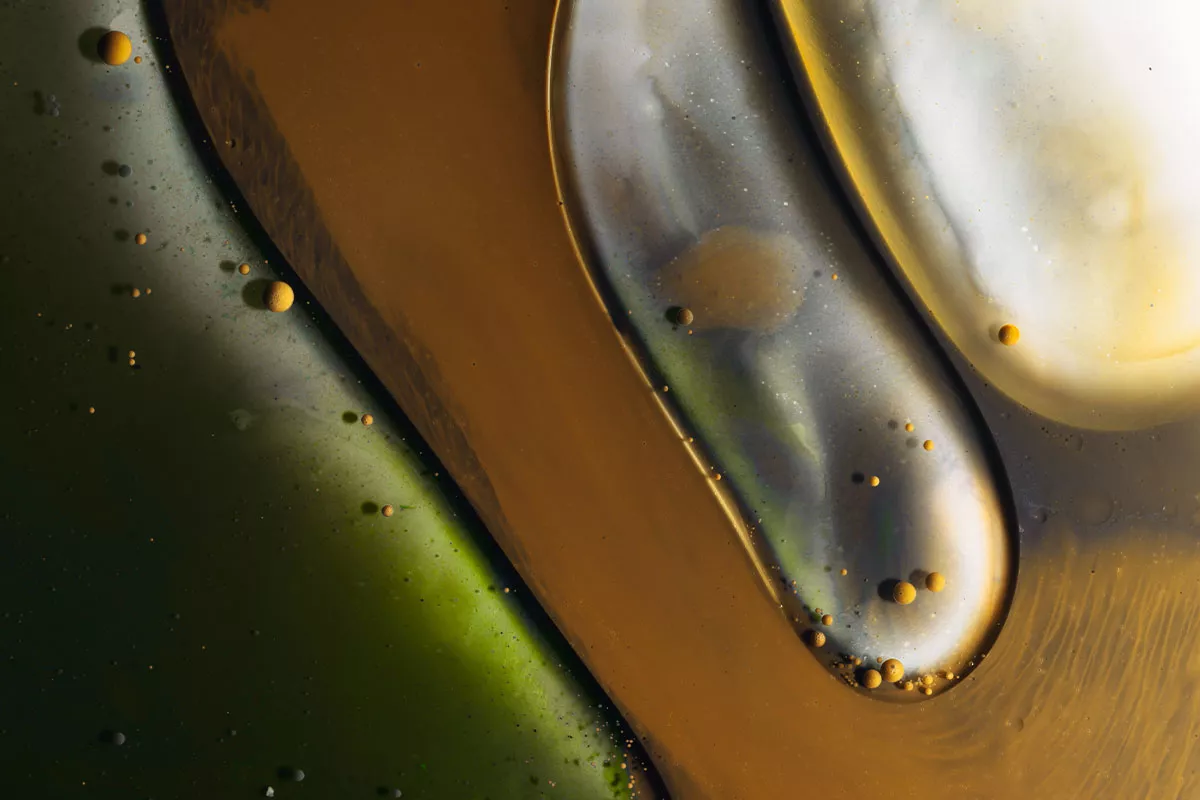 Revolutionizing Personalized Nutrition: The AI-Led Journey
of Hologram Sciences